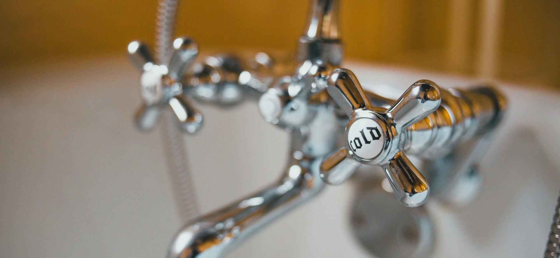 Shower instead of bathe Alive to Earth